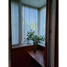 Продаю 2 к.кв. ЦЕНТР ул. Ставропольская 3/9 п 54/37/9 ремонт. С мебелью и быт техникой 6400000 р. торг