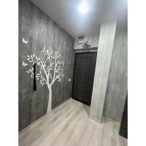 Студия Яблоновский 1/9 к. 28 м. ремонт, мебель  3800000 р.